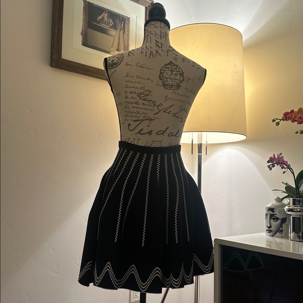 Alaia Glacier Black and White Skater Skirt - Picture 3 of 6